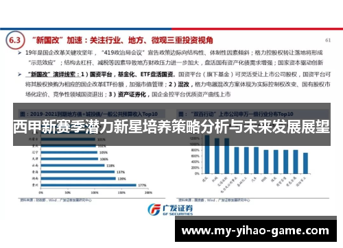 西甲新赛季潜力新星培养策略分析与未来发展展望